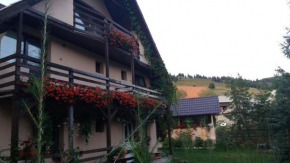 Гостиница Cabana Ada 2  Ариешени